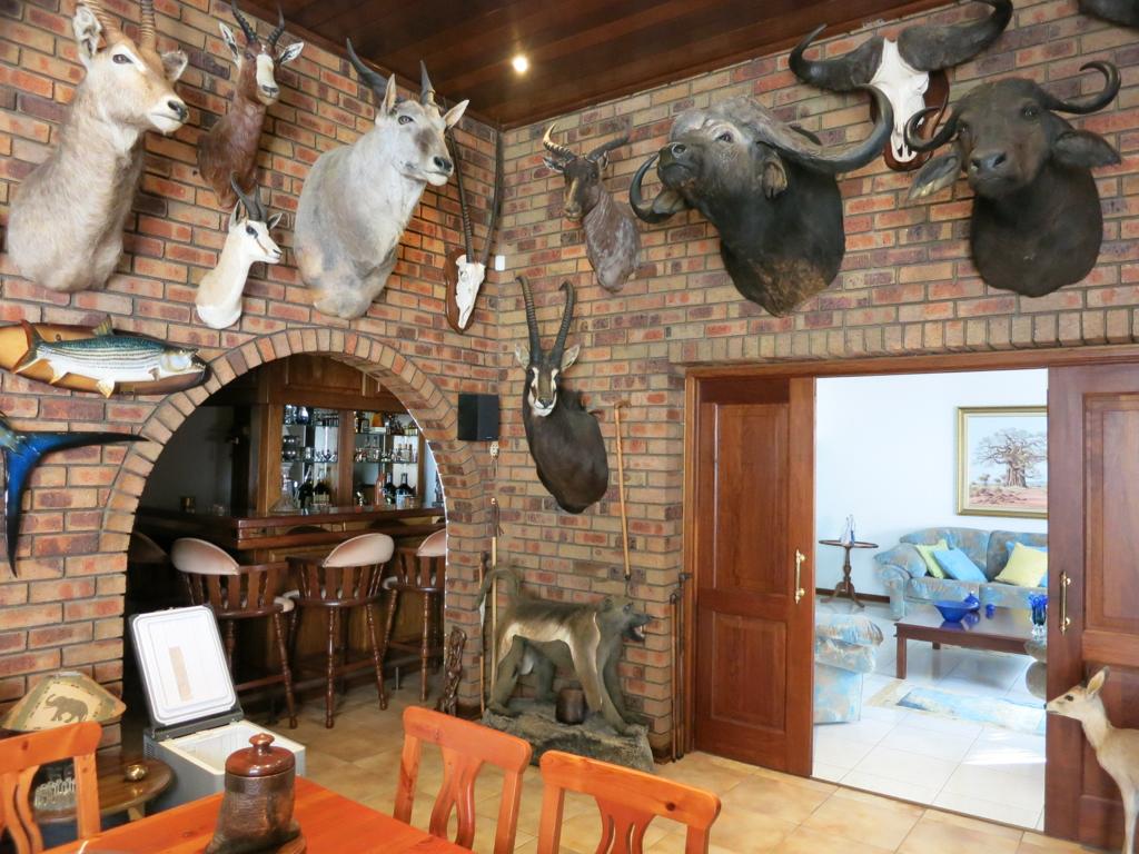 Hunting Trophy Collection for sale - WildLife South Africa Classifieds