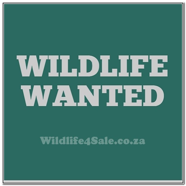 WildLife Wanted