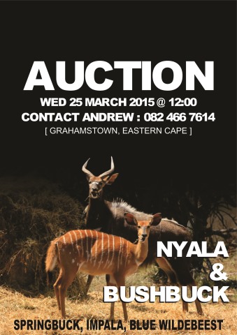 HP-Auction-25-March-2015